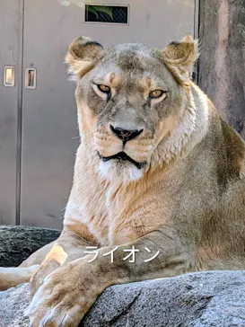 天王寺動物園に投稿された画像（2026/5/15）