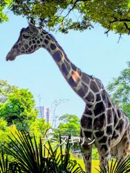 天王寺動物園に投稿された画像（2026/5/15）