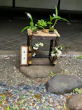 恩賜上野動物園に投稿された画像（2026/5/16）