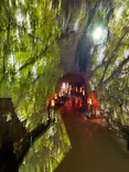 CAVE OKINAWAに投稿された画像（2026/5/16）
