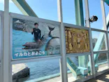 横浜・八景島シーパラダイス　プレジャーランドに投稿された画像（2026/5/16）
