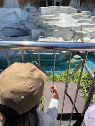天王寺動物園に投稿された画像（2026/5/15）