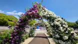 万博記念公園に投稿された画像（2026/5/16）