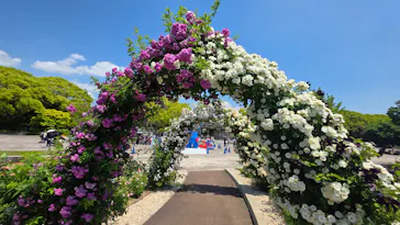 万博記念公園に投稿された画像（2026/5/16）