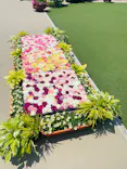 ひらかたパークに投稿された画像（2026/5/16）