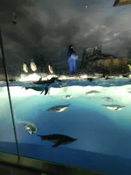 名古屋港水族館に投稿された画像（2026/5/16）