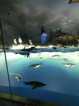 名古屋港水族館に投稿された画像（2026/5/16）
