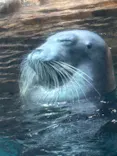 大分マリーンパレス水族館 「うみたまご」に投稿された画像（2026/5/16）