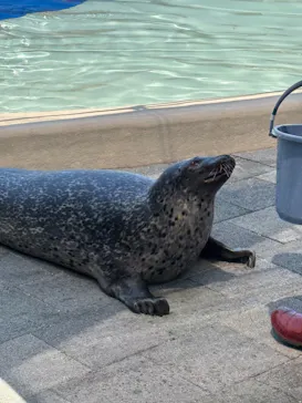 大分マリーンパレス水族館 「うみたまご」に投稿された画像（2026/5/16）