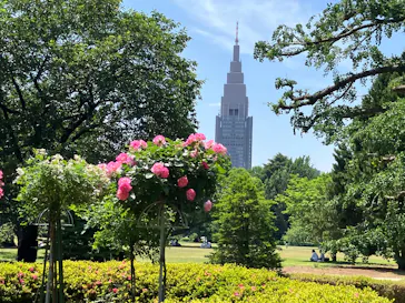 新宿御苑に投稿された画像（2026/5/16）