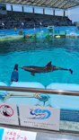 名古屋港水族館に投稿された画像（2026/5/16）