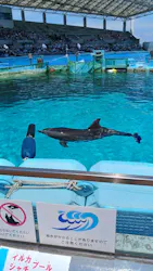 名古屋港水族館に投稿された画像（2026/5/16）