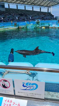 名古屋港水族館に投稿された画像（2026/5/16）