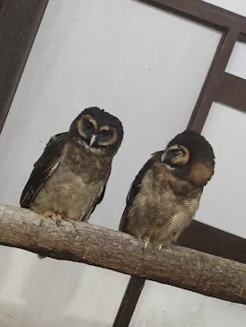 掛川花鳥園に投稿された画像（2026/5/16）