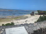 沖縄美ら海水族館に投稿された画像（2026/5/16）