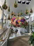 BOTANICA MUSEUMに投稿された画像（2026/5/16）