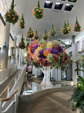 BOTANICA MUSEUMに投稿された画像（2026/5/16）