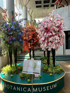 BOTANICA MUSEUMに投稿された画像（2026/5/16）