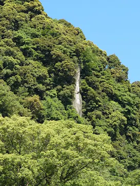 仙巌園に投稿された画像（2026/5/16）