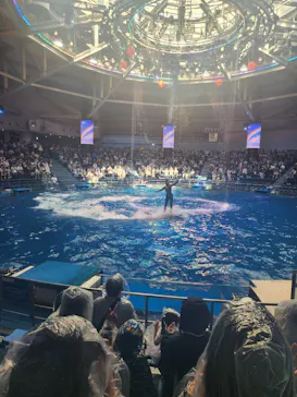 マクセル アクアパーク品川に投稿された画像（2026/5/16）