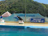 下田海中水族館に投稿された画像（2026/5/16）