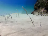 アクアワールド茨城県大洗水族館に投稿された画像（2026/5/16）