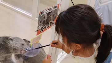 アニタッチ MARK IS 静岡に投稿された画像（2026/5/16）