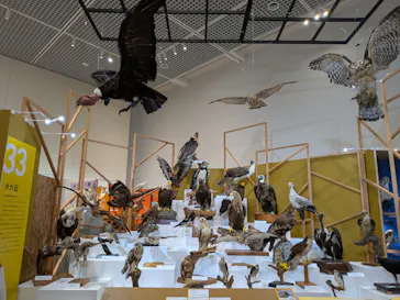 特別展「鳥 ～ゲノム解析が解き明かす新しい鳥類の系統～」に投稿された画像（2026/5/16）