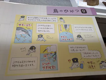 特別展「鳥 ～ゲノム解析が解き明かす新しい鳥類の系統～」に投稿された画像（2026/5/16）
