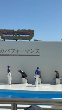 鴨川シーワールドに投稿された画像（2026/5/16）