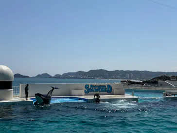 鴨川シーワールドに投稿された画像（2026/5/16）