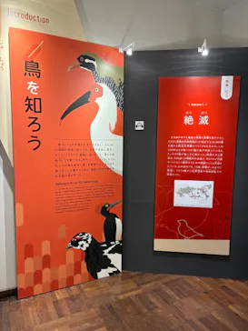 特別展「鳥 ～ゲノム解析が解き明かす新しい鳥類の系統～」に投稿された画像（2026/5/16）