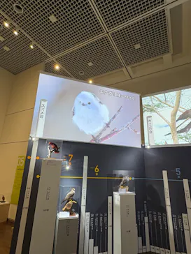 特別展「鳥 ～ゲノム解析が解き明かす新しい鳥類の系統～」に投稿された画像（2026/5/16）