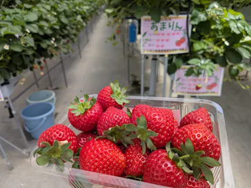 東松山市農林公園に投稿された画像（2026/5/16）