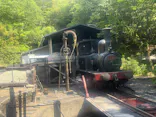博物館 明治村に投稿された画像（2026/5/16）