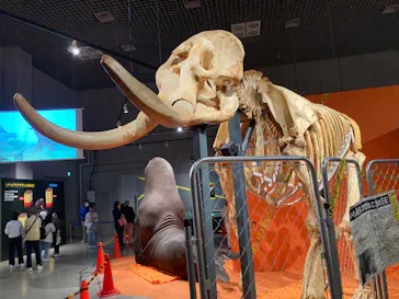 特別展「超危険生物展　科学で挑む生き物の本気」に投稿された画像（2026/5/16）
