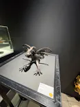NAKED meets ガウディ展【大阪】に投稿された画像（2026/5/16）