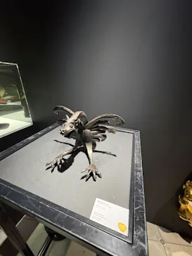 NAKED meets ガウディ展【大阪】に投稿された画像（2026/5/16）