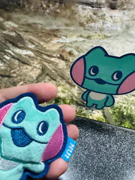 新江ノ島水族館に投稿された画像（2026/5/16）