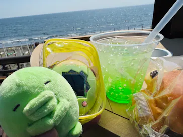 新江ノ島水族館に投稿された画像（2026/5/16）