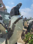 仙台うみの杜水族館に投稿された画像（2026/5/16）