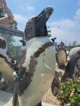 仙台うみの杜水族館に投稿された画像（2026/5/16）