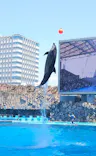 名古屋港水族館に投稿された画像（2026/5/16）