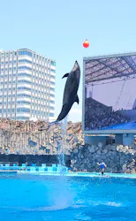 名古屋港水族館に投稿された画像（2026/5/16）