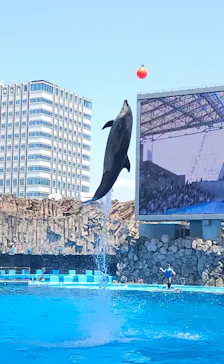 名古屋港水族館に投稿された画像（2026/5/16）