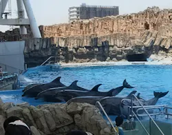 名古屋港水族館に投稿された画像（2026/5/16）
