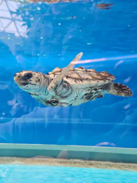 名古屋港水族館に投稿された画像（2026/5/16）