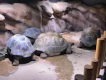 AQUARIUM × ART　atoaに投稿された画像（2026/5/16）