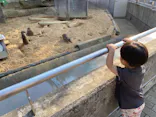 いしかわ動物園に投稿された画像（2026/5/16）