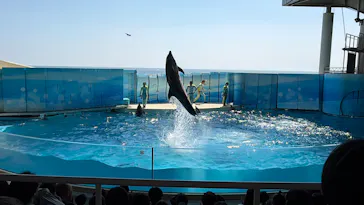 新江ノ島水族館に投稿された画像（2026/5/16）